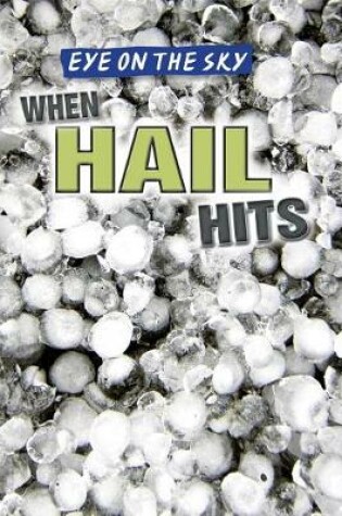 Cover of When Hail Hits