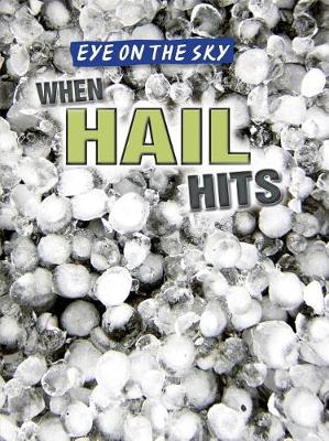 Book cover for When Hail Hits