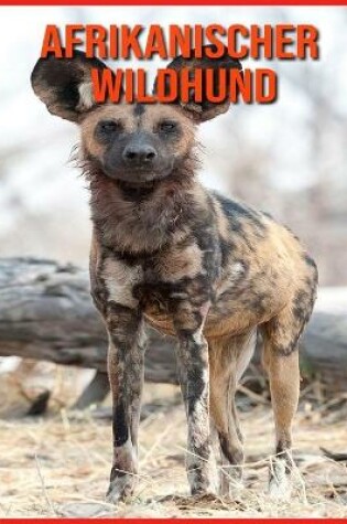 Cover of Afrikanischer Wildhund