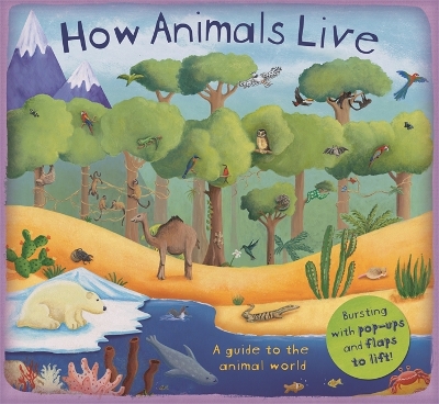 Book cover for How Animals Live