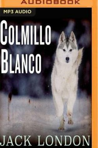 Cover of Colmillo Blanco/ White Fang