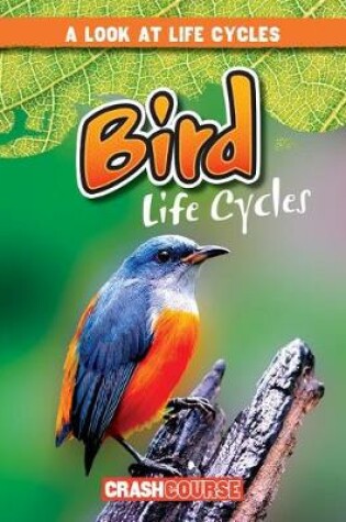 Cover of Bird Life Cycles