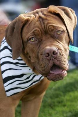 Book cover for The Dogue de Bordeaux Dog Journal (French Mastiff)