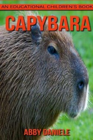 Cover of Capybara! An Educational Children's Book about Capybara with Fun Facts & Photos