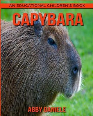 Book cover for Capybara! An Educational Children's Book about Capybara with Fun Facts & Photos