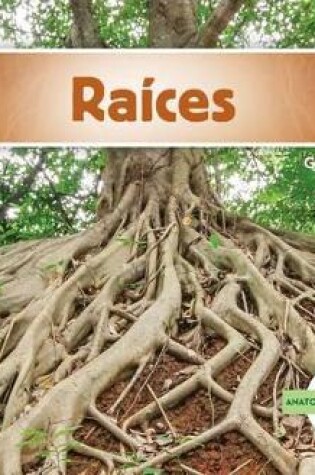 Cover of Raíces (Roots) (Spanish Version)