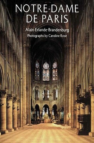 Cover of Notre-Dame de Paris (Abradale)