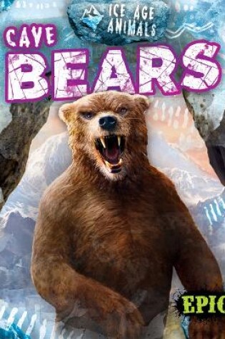 Cover of Cave Bears