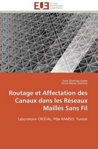 Cover of Routage Et Affectation Des Canaux Dans Les R seaux Maill s Sans Fil