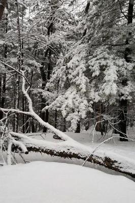 Cover of Journal Snowstorm Winter Day Photography