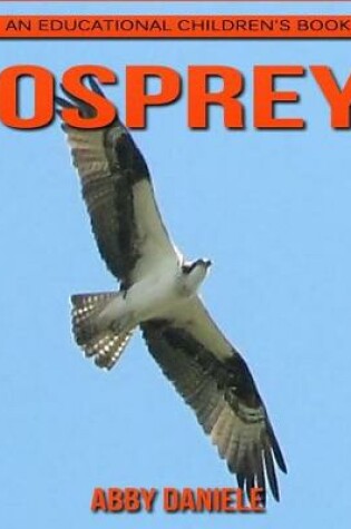 Cover of Osprey! An Educational Children's Book about Osprey with Fun Facts & Photos