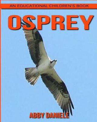 Book cover for Osprey! An Educational Children's Book about Osprey with Fun Facts & Photos