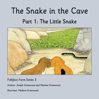 Cover of The Little Snake