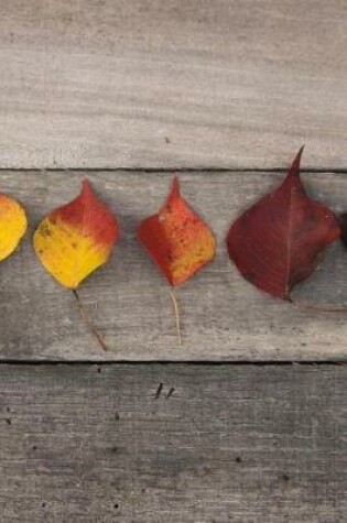 Cover of Ombre Colorful Autumn Leaves on Reclaimed Wood Background