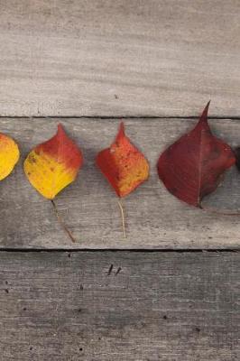 Book cover for Ombre Colorful Autumn Leaves on Reclaimed Wood Background