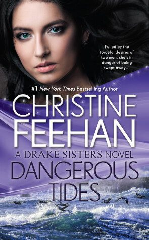 Book cover for Dangerous Tides