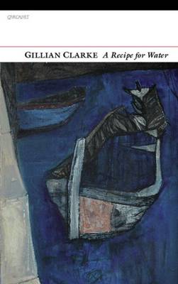 Book cover for A Recipe for Water