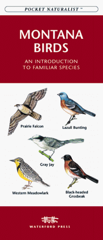 Book cover for Montana Birds
