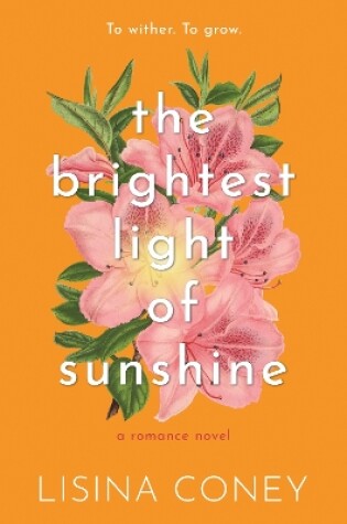 Cover of Brightest Light of Sunshine