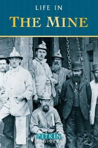 Cover of Life in the Mine