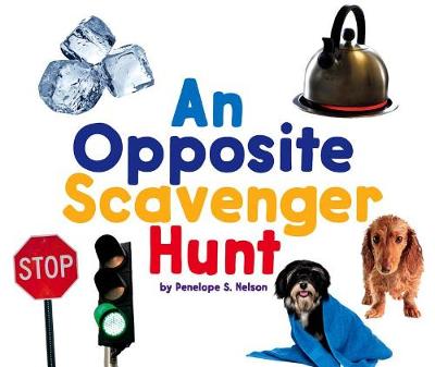 Book cover for An Opposite Scavenger Hunt