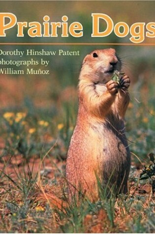 Cover of Prairie Dogs