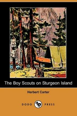 Cover of The Boy Scouts on Sturgeon Island (Dodo Press)