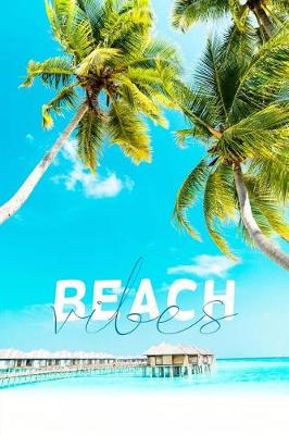 Book cover for Beach Vibes