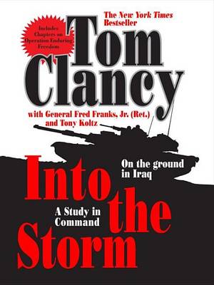 Book cover for Into the Storm