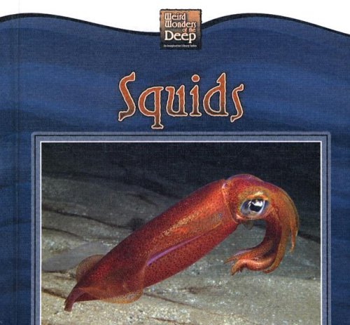 Book cover for Squids