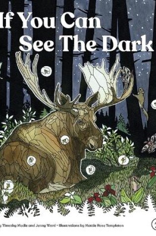 Cover of If You Can See the Dark