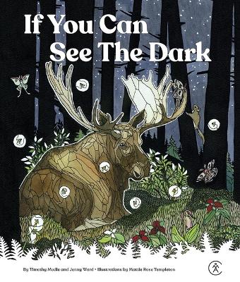 Cover of If You Can See the Dark