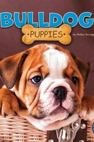 Cover of Bulldog Puppies