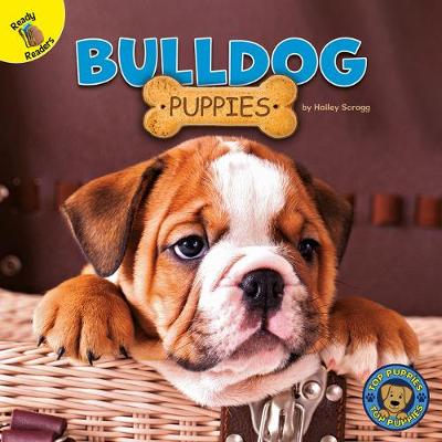 Book cover for Bulldog Puppies