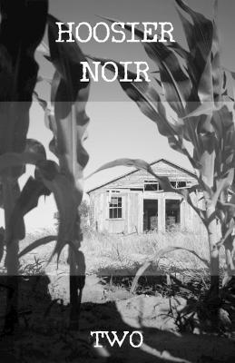 Book cover for Hoosier Noir