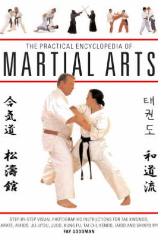 Cover of The Practical Encyclopedia of Martial Arts