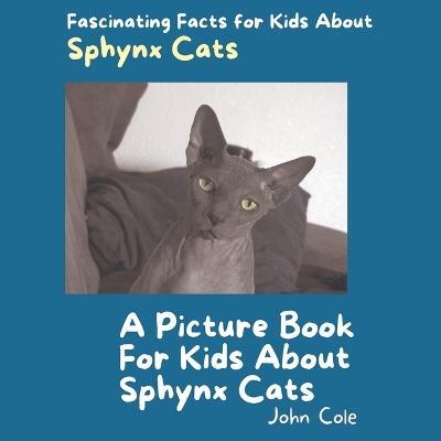 Book cover for A Picture Book for Kids About Sphynx Cats