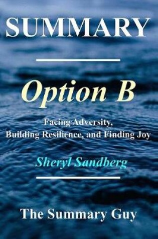 Cover of Summary - Option B