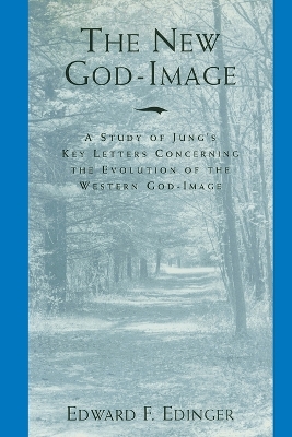 Book cover for The New God-Image