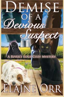 Book cover for Demise of a Devious Suspect