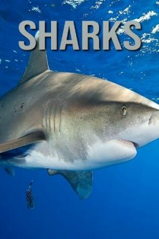 Cover of Sharks