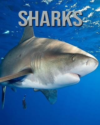 Book cover for Sharks