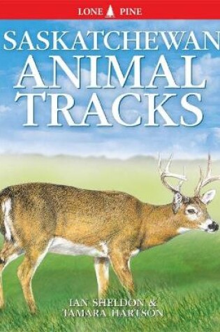 Cover of Saskatchewan Animal Tracks