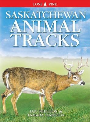 Cover of Saskatchewan Animal Tracks