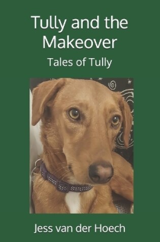 Cover of Tully and the Makeover