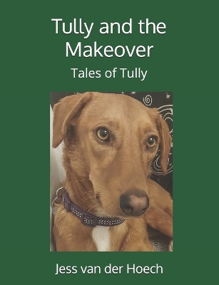 Book cover for Tully and the Makeover