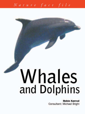Book cover for Whales and Dolphins