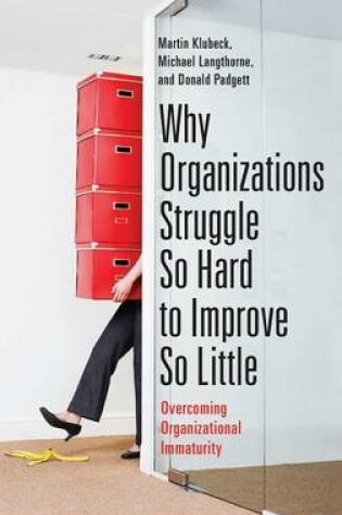 Cover of Why Organizations Struggle So Hard to Improve So Little