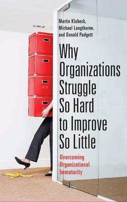 Book cover for Why Organizations Struggle So Hard to Improve So Little