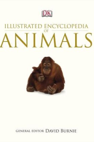 Cover of Illustrated Encyclopedia of Animals